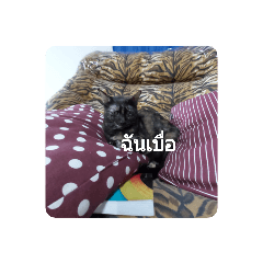 MonMon_20210610200442