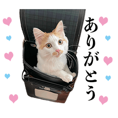 MICCHI and TOMMY Sticker