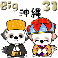 【Big】シーズー犬31『沖縄』