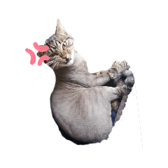 nozomi_20210610230048