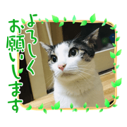 man-chang_20210611010957