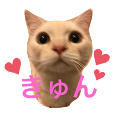 Chie_20210611011429