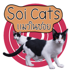 Soi Cats