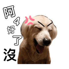巴咘咘的日常