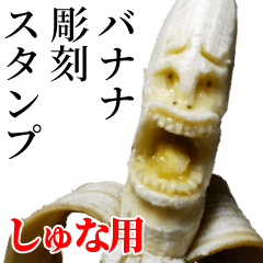 Apple - しゅなしゅなさん専用 テレビ東京系列で放送中の大人気乳幼児向け番組『シナぷしゅ』の