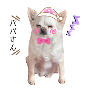 haru_20210611173842