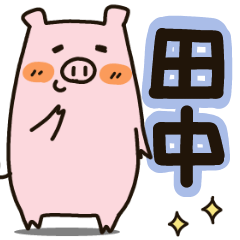Name sticker for tanaka