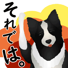 The Border collie sticker