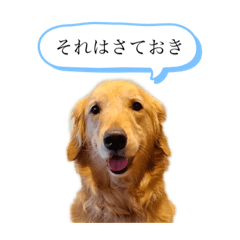 Omochi_20210611084323