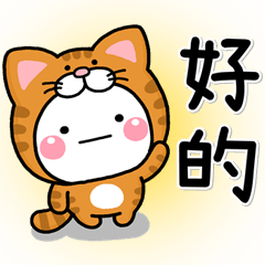日常♡白圓貓!!