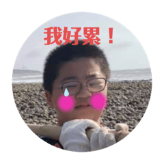 811好讚