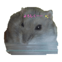 Aoi_20210611172030