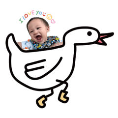 太陽鴨鴨