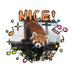 Tomomi_20210611204830