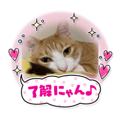 chocomint_20210611211047