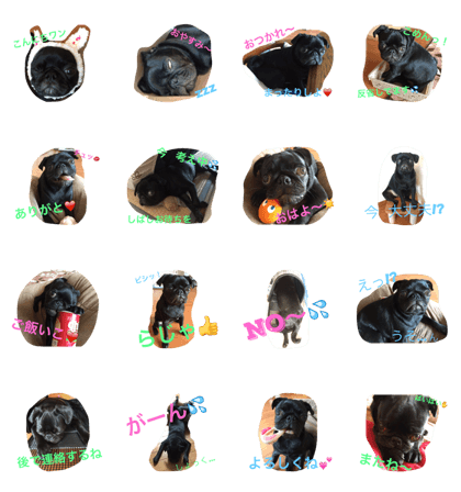 greeted by pug dog's Princess Monaka greeted by pug dog's Princess Monaka