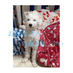 kaito_20210612005818