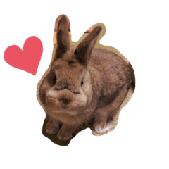 alice_20210612013311