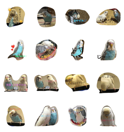 rara / tukumaru rara / tukumaru