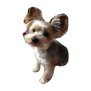 Sleepy sleepiness Every day Sleepy sleepiness Every day