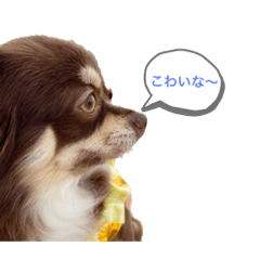 miyuu_20210611183512