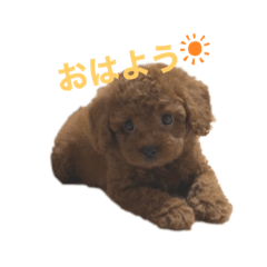 naho_20210611204349