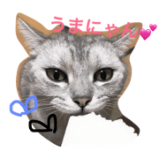 kaikunnoitiniti kaikunnoitiniti