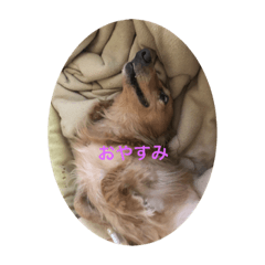 rina_20210611213832