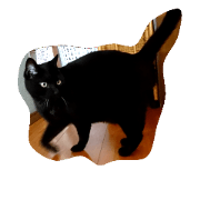 Coo and MinMin Coo and MinMin