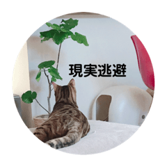 miki_20210611204019
