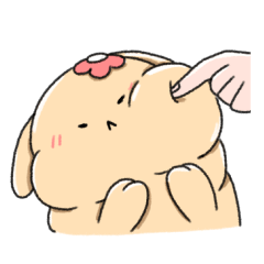 Joongda The Chubby Rabbit