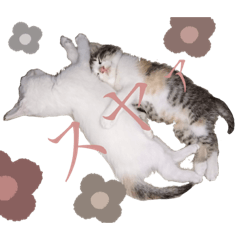 YK_20210611223951