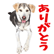 MELONKUN'S Sticker MELONKUN'S Sticker