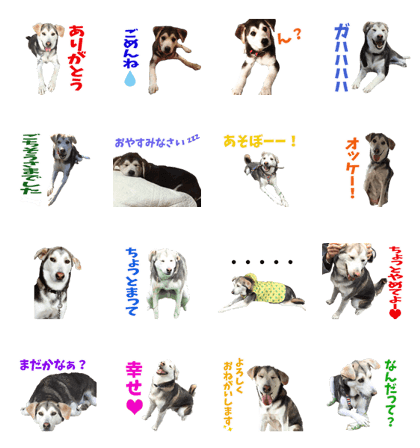 MELONKUN'S Sticker MELONKUN'S Sticker