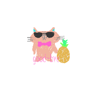 okinawa cat okinawa cat