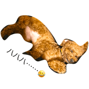 mypetsisTINNY mypetsisTINNY