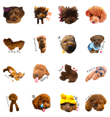 mypetsisTINNY mypetsisTINNY