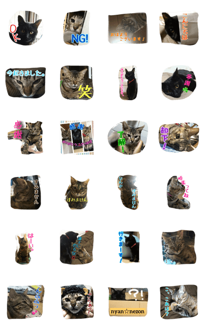 Black cat&Brown tabbies 2 Black cat&Brown tabbies 2