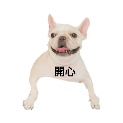 笑容饅面