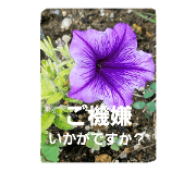 Gentle honorific flowers 2