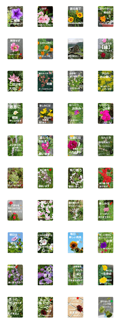 Gentle honorific flowers 2