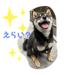 chibi_20210612110954