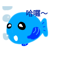 可愛藍魚
