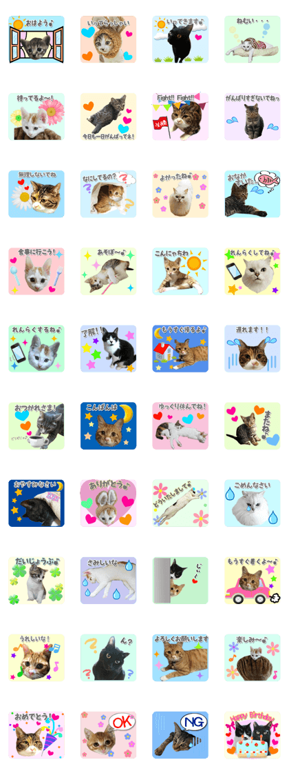 cat's everyday use sticker