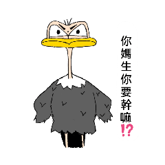 鴕鳥雞