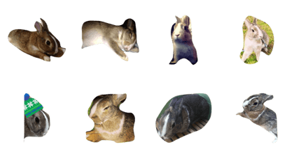 Happy rabbit. His name is Coco. Enjoy^^