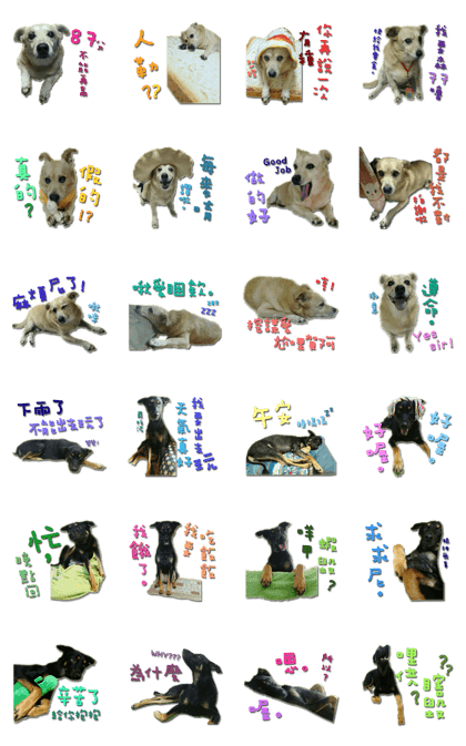 Rascal Dogs Chu&Mei Part1