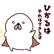 special hikaru sticker