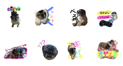 pagunosoraaa pagunosoraaa