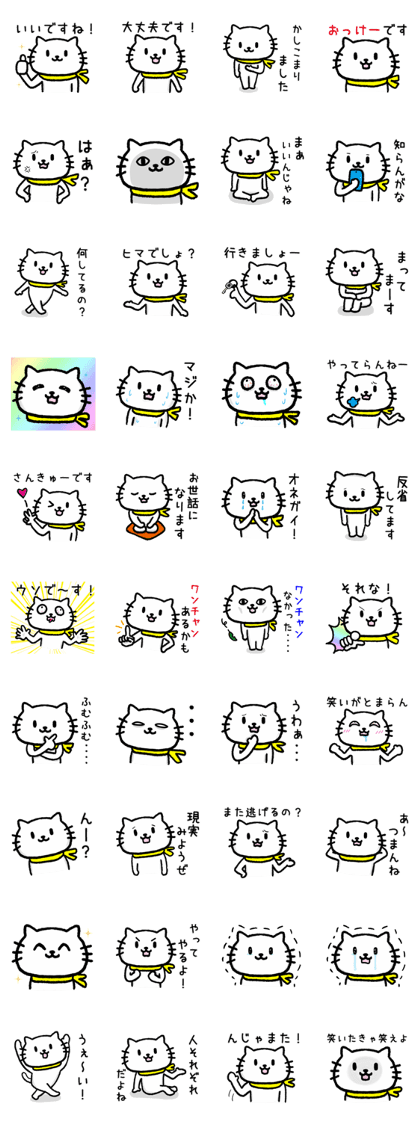 Bandanna Cat Bandanna Cat